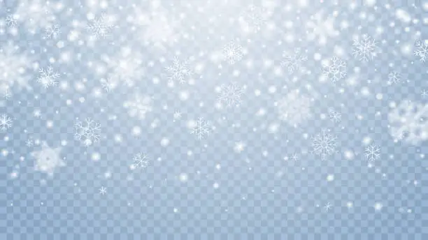 Vector illustration of Vector snowfall on transparent background