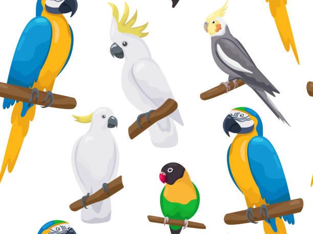 Vector tropical seamless pattern with australian parrots. Cartoon cute love bird, cockatoo, ara, macaw sitting on branch. Talking bright realistic exotic birds. Creative style summer beach print Vector tropical seamless pattern with australian parrots. Cartoon cute love bird, cockatoo, ara, macaw sitting on branch. Talking bright realistic exotic birds. Creative style summer beach print. parrots beak heliconia stock illustrations