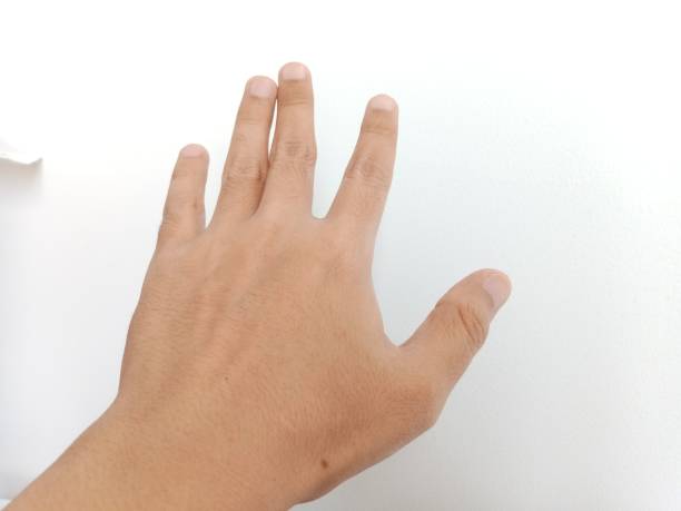 istock Photos with the theme of hand poses 1740379610