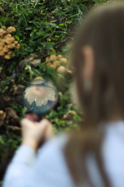Kid looking through the magnifying glass mushroom