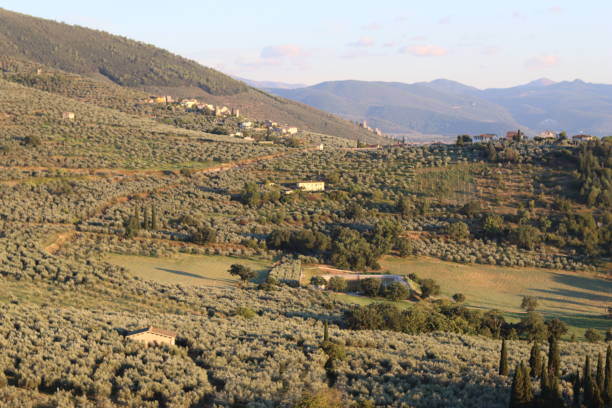 istock View across rural Italian countryside 1740383481