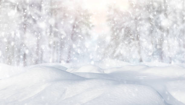 istock Winter panoramic frosty landscape. Snow background. 1740388416