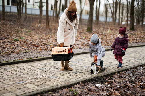Mother and daughters walking with kitten in travel plastic cage carriage outdoor at park.