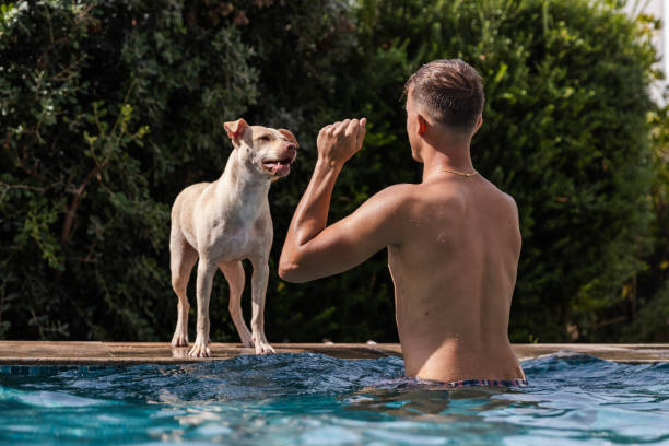 giovane ragazzo caucasico all'interno della piscina mentre sta giocando con il suo cane - underwater dog adult happiness foto e immagini stock