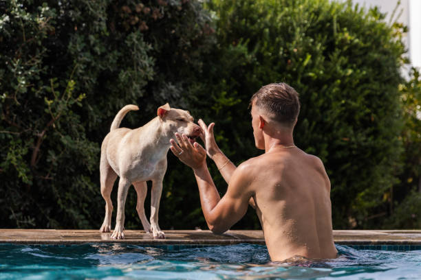 il ragazzo dà le spalle alla telecamera mentre gioca con il suo cane in piscina. - underwater dog adult happiness foto e immagini stock