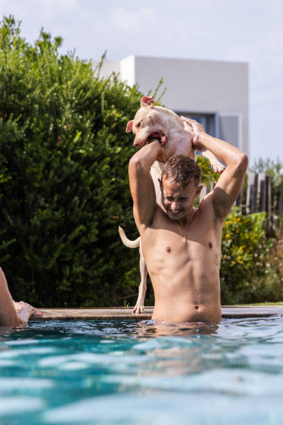 garoto na piscina enquanto seu cachorro brinca com ele. - underwater dog adult happiness - fotografias e filmes do acervo