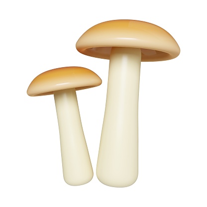 3d Autumn mushroom. Golden fall. Season decoration. icon isolated on gray background. 3d rendering illustration. Clipping path..