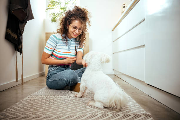 istock Happy single woman and her dog 1740462387