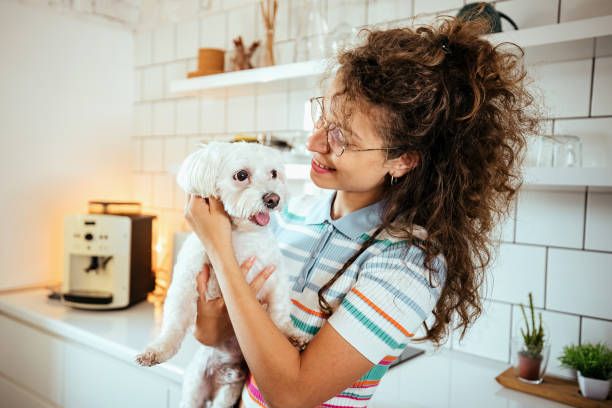 istock Woman in the kitchen with her dog 1740464043