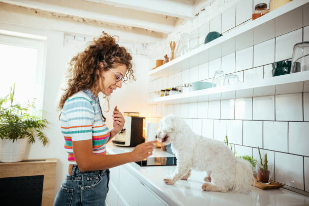 istock Woman in the kitchen with her dog 1740466380
