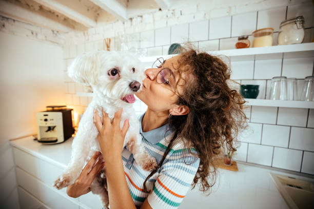 istock Woman in the kitchen with her dog 1740466383