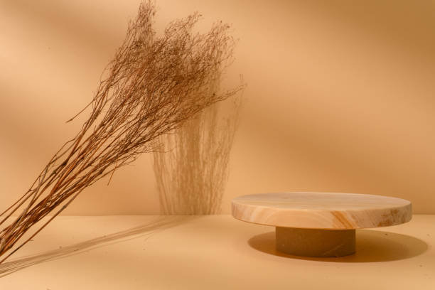istock Beige product display podium with shadow and dried plant, aesthetic neutral 1740467507