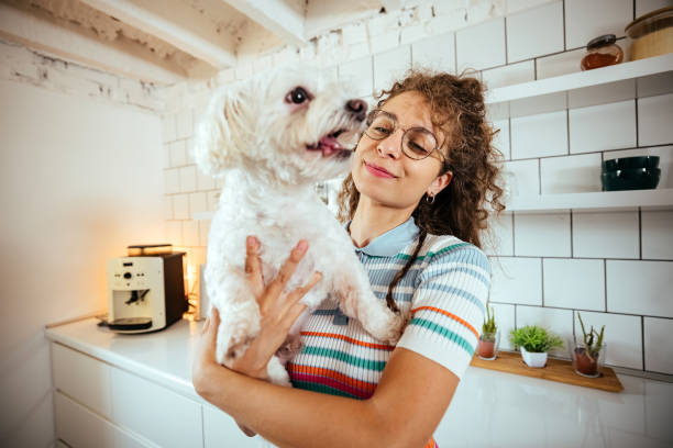 istock Woman in the kitchen with her dog 1740468071