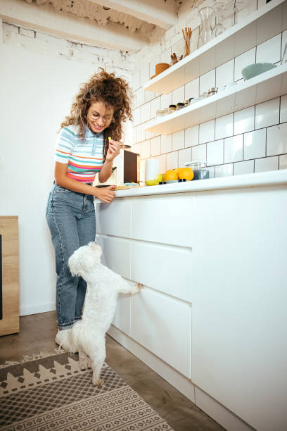 istock Woman and a dog in the kitchen 1740469344
