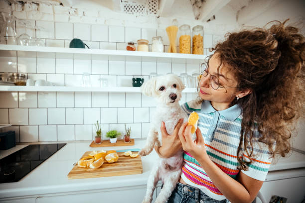 istock Woman in the kitchen with her dog 1740479673