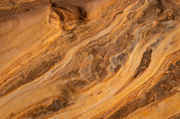 Full frame of sandstone rock pattern, Rock formation, natural of sand stone on beach in Australia, line and curve of stone use for background Full frame of sandstone rock pattern, Rock formation, natural of sand stone on beach in Australia, line and curve of stone use for background rock formation stock pictures, royalty-free photos & images