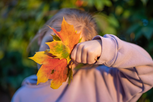 Happy girl holds collected maple leaves in her hands Girl playing with fallen leaves in autumn park. Fall season.