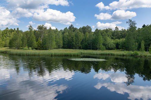 Reservoir at the red moor in the high Rhoen, Hesse, Germany. With blue sky and white clouds and reflection in the water