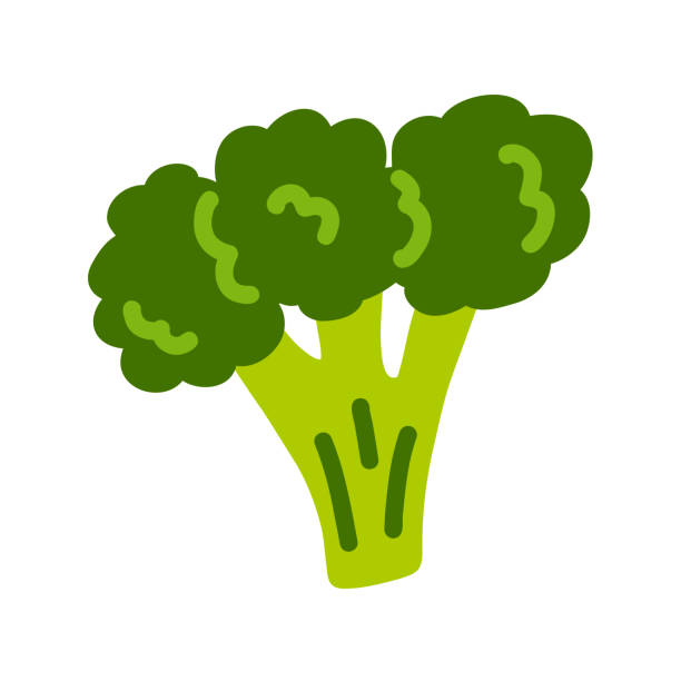 ilustrações de stock, clip art, desenhos animados e ícones de hand drawn broccoli. broccoli, cauliflower, green salad in simple primitive style. vegetables, organic food. vector cartoon flat illustration isolated on white background. - cauliflower white backgrounds isolated