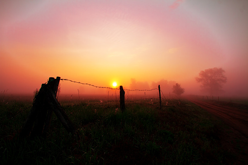 Landscape sunset in Narew river valley, Poland Europe, trees and fields, meadows,  autumn time, colourful sky