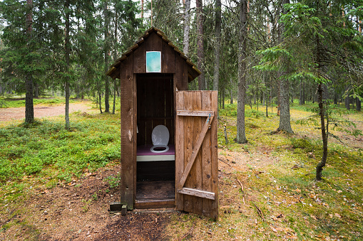 Toilet in the forest in summer in Estonia. High quality photo