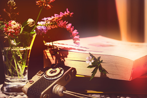 Vintage style, books, analogue camera on the table and summer flowers. Summer or Autumn season. Leaving, memories, nostalgia. Retro