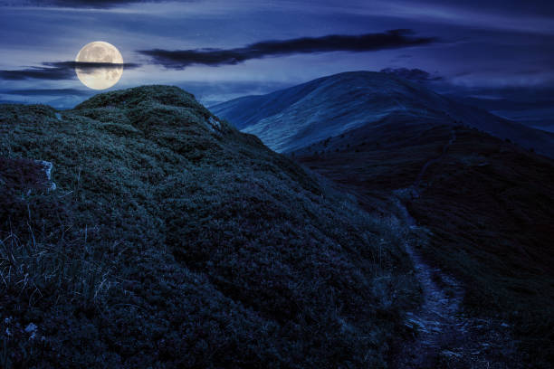 istock summer mountain landscape at night 1740570124