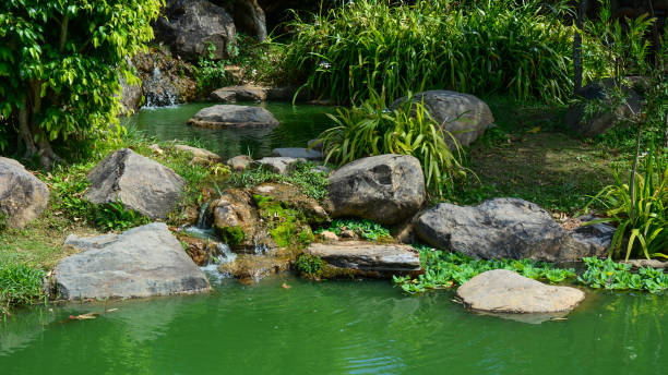 istock Small green garden in summer day 1740596465