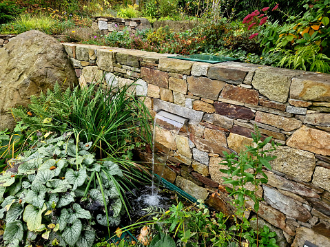 trickle of water flows from a joint in stone wall along a stainless steel sheet into a pond with perennials and ferns around it. beautiful folded walls in park and garden will be made by our company, dryopteris, macrophylla, outflow, stonemason, silver hearth