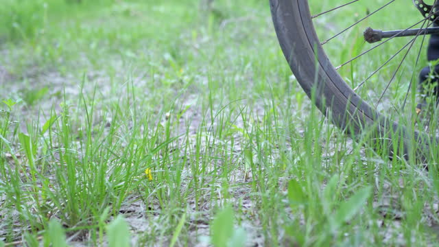 Close up, Tired Tourist Rolls a Bike on Green Grass