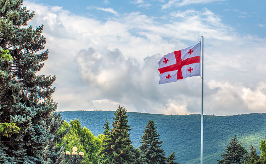 The Flag of Georgia against the background of green trees and blue sky