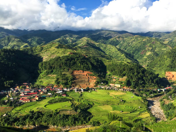 istock Terraced rice field at summer 1740606298