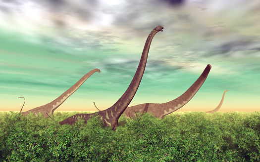 Computer generated 3D illustration with the dinosaur Mamenchisaurus in a rainforest