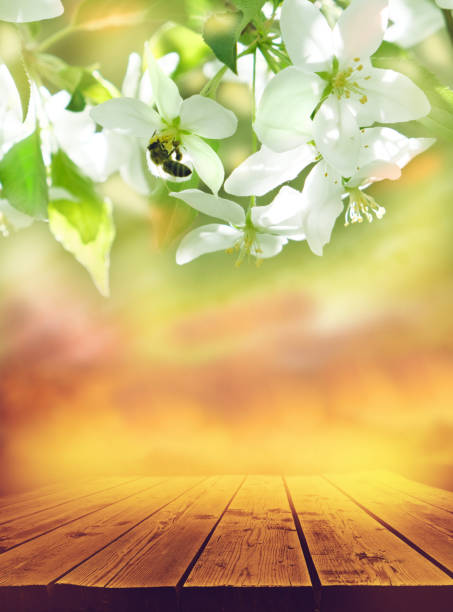 istock Wooden table, platform and blossom blooming on trees in springtime. Bee. Wild pear or apple tree flowers blooming. Space for presentaion product 1740623470