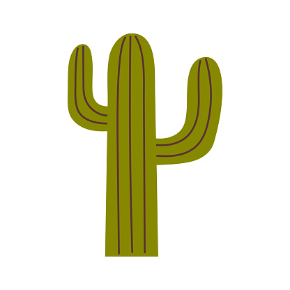 Vector western green cactus. Wild west succulent. Desert plant.