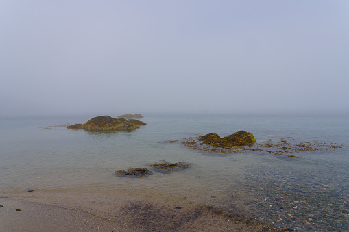 At the waters edge on Porthdinllaen beach in Gwynedd, looking across seaweed covered rocks in to the thick fog.