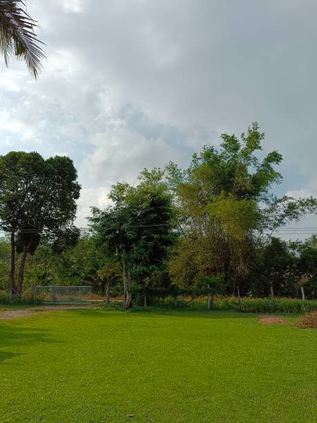 istock Lawn in front of the house 1740645417