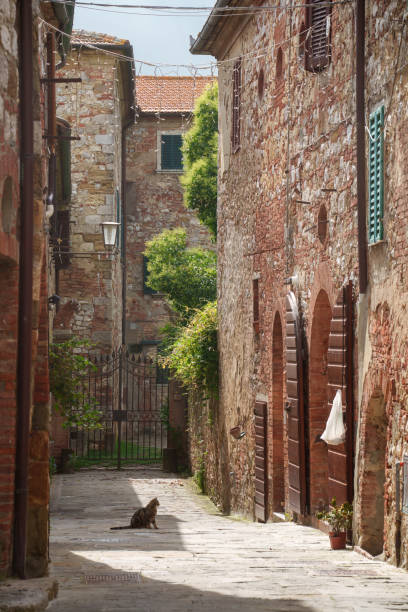 istock Montefollonico, historic town in Tuscany 1740654193