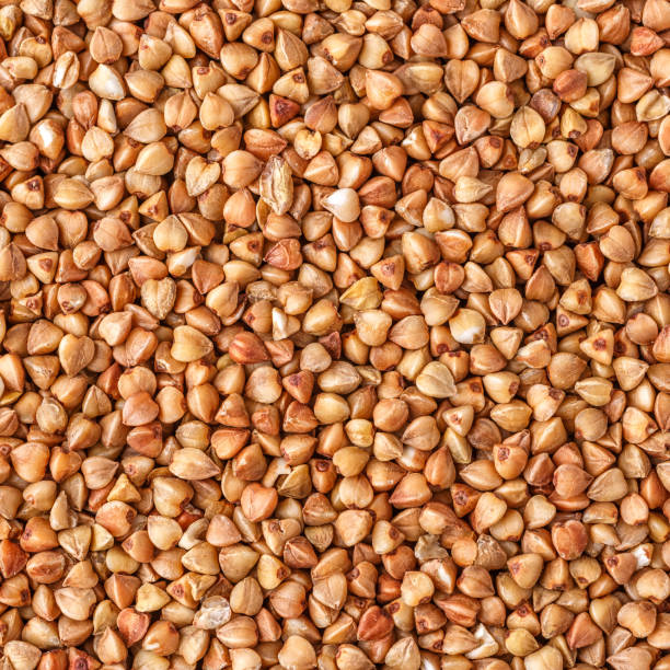 istock buckwheat. fresh buckwheat. dry buckwheat background. buckwheat texture 1740656831