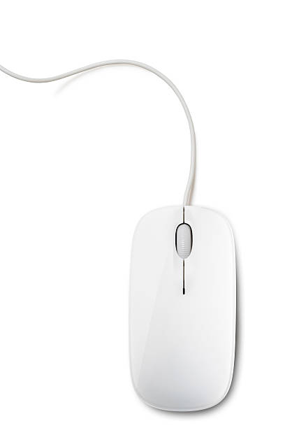 uitgebreid schuifelen multifunctioneel Mouse Stock Photo - Download Image Now - Computer Mouse, White Color,  Computer - iStock