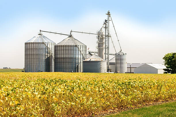 convoyeur de grain - silo photos et images de collection