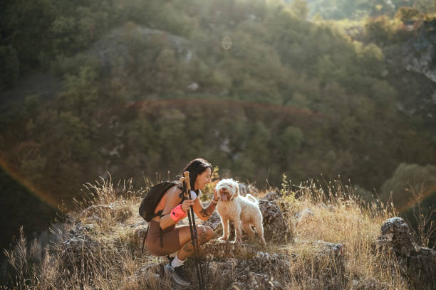 istock Woman hiking with her dog 1740683886