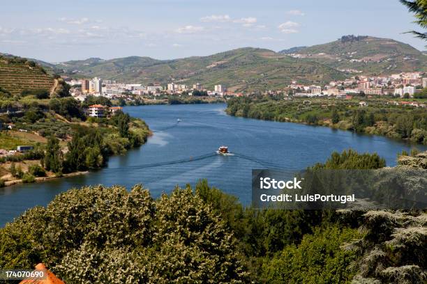 Douro Valley Stock Photo - Download Image Now - Agricultural Field, Agriculture, Crop - Plant