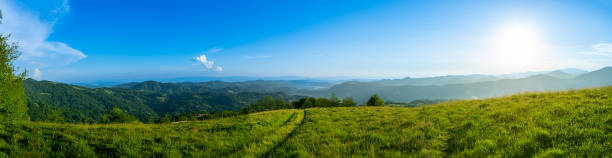 Carpathians mountains series, Carpathians Apetska mountain, Ukraine