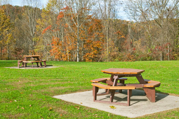 istock Picnic tables made from recycled plastic in West Virginia 174071487