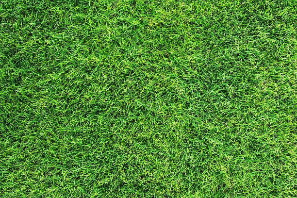 zielona trawa tekstura płótna - soccer field soccer grass green zdjęcia i obrazy z banku zdjęć