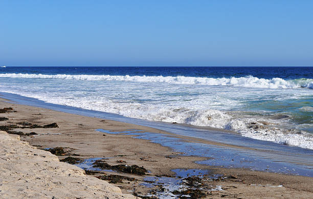 istock Beach Seaweed Ocean and Blue Sky 174071744