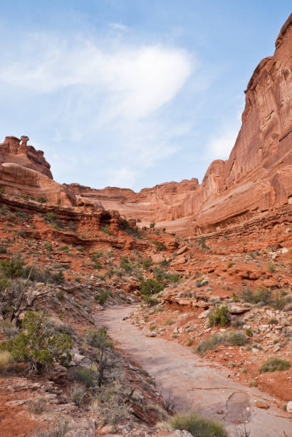 istock Dry Riverbed in Park Avenue Canyon 174071968