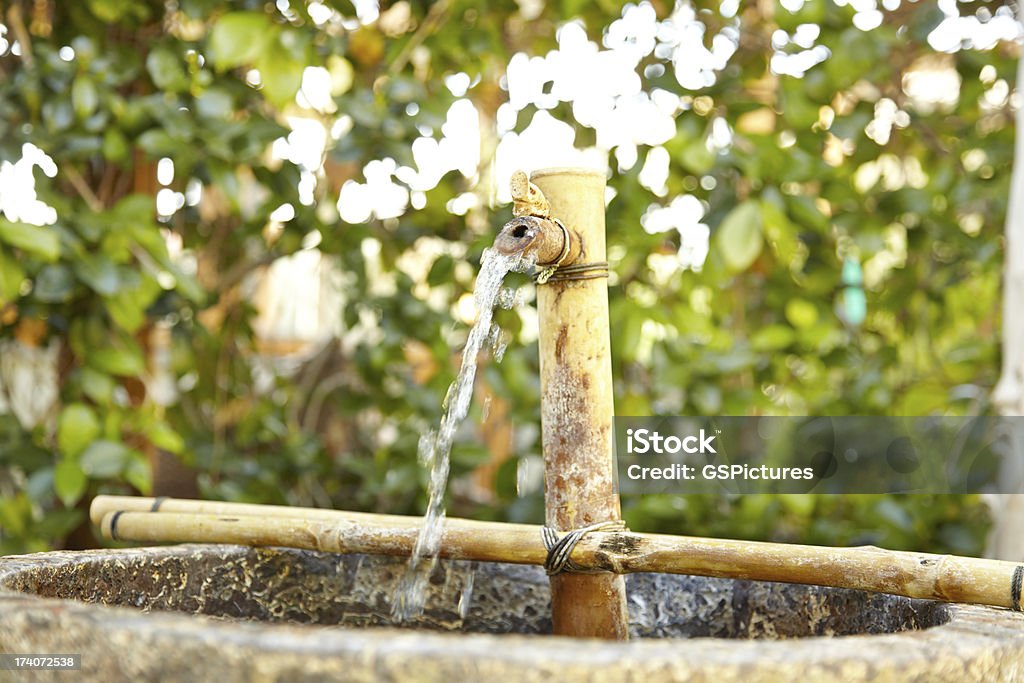 Water fountain with plants on an outdoor patio Water fountain with plants on an outdoor patio. Horizontally framed Bamboo - Plant Stock Photo