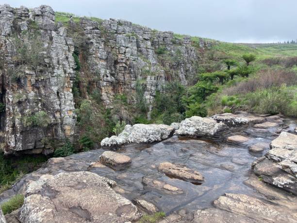 istock Garden route at South Africa 1740726121